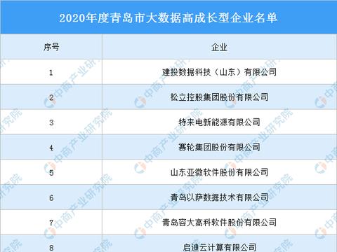 2020年度青島市大數據高成長型企業名單發布，數據處理與存儲服務引領行業風向